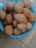 我老家农家养现捡新鲜初生蛋谷物柴鸡蛋盒装 高质量虫草蛋40枚1950g 实拍图