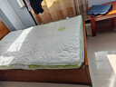 红蜻蜓（RED DRAGONFLY）乳胶床垫1.5米x2.0米记忆棉软垫家用卧室榻榻米垫子海绵租房专用 印花双拼-白绿【厚约10cm】 单人床-120x200cm【不易塌陷】 实拍图