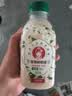 COSTA 开市客木兰茶语茉莉鲜奶绿350ml生鲜牛乳饮料原味高颜值奶茶饮品 混合口味350ml*8瓶 实拍图
