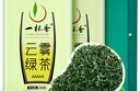 一杯香茶叶绿茶明前高山云雾500g2025新茶日照足礼盒装送礼自己喝自饮 实拍图
