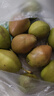源自新疆红香酥梨新鲜梨子3/5/10斤脆甜皮薄梨子应季水果整箱批发 净重9斤实惠中果 实拍图