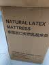 Latex Systems泰国原装乳胶床垫95D学生宿舍单人床垫上下铺 0.9*1.9米 适中偏硬 实拍图