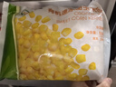 九洲丰园 有机速冻甜玉米粒500g 什锦蔬菜 冷冻半加工蔬菜粒 实拍图