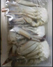 【冷冻】至鲜 吕四冻梭子蟹小蟹块600g约30-42块 液氮速冻免处理海螃蟹新鲜海鲜200g*3 实拍图