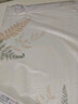 LOVO罗莱生活 100%纯棉四件套全棉超柔套件 床上用品单双人床单被套 【100%全棉+不易褪色】亭亭郁丽 1.2米 床单款 （被套150*215cm） 实拍图