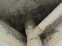 雨虹防水 堵漏王 水不漏 快干水泥 堵漏宝塑钢泥 地漏安装 管根堵漏 4KG 实拍图