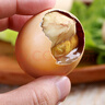 岽鲜活珠子新鲜13天五香香辣味开袋即食毛蛋活珠子鸡胚蛋熟钢化蛋鸡蛋 五香活珠子20枚800g 实拍图