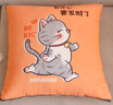 阿芙豆抱枕被四季款两用二合一办公室午睡枕汽车腰靠床头靠垫沙发空调毯 发财猫 中号40*40cm(展开100*150cm) 实拍图