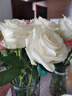 云南鲜花批发品质玫瑰百合水养鲜切花送女友水养鲜花源头直发 白玫瑰-10支【轻微折痕属于正常现象】 【任选2件—不收运費】 实拍图