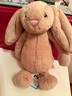 Jellycat害羞米色邦尼兔动物毛绒玩偶安抚公仔娃娃圣诞节生日礼物 米色 Small 实拍图