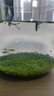 疯狂水草亚马逊水草泥和种子 鱼缸水草泥造景套餐水草缸底砂底沙 水藻泥2L 实拍图