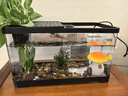 阔庭（KUOTING）鱼缸滑盖款造景过滤制氧一体机鱼缸家用小型免换水鱼缸溪流缸黑色 实拍图