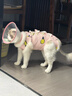 派乐特猫咪绝育服母猫手术衣服透气戒奶服断奶服公猫防舔术后宠物猫猫M 实拍图
