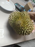 晨木鲜生（chenmuxiansheng）泰国进口金枕头榴莲鲜果 榴莲新鲜生鲜水果 软糯香甜 4-5斤（1-2个） 实拍图