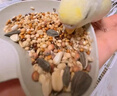 茨格曼虎皮鹦鹉饲料玄凤牡丹专用混合鸟食粮食带壳小太阳滋养丸食物鸟粮 实拍图