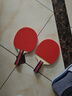 红双喜乒乓球拍专业级成人横拍小学生初学者儿童兵兵乓球拍子成品拍 黑柄初学双拍【横拍+直拍】 实拍图