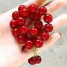 芯奢红色樱桃车厘子菩提根手串女绕指文玩朱砂色手链女菩提子佛珠手持 车厘子樱桃款 实拍图