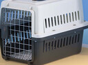 腆宠宠物航空箱小号 猫咪航空箱猫狗 猫包猫笼外出车载猫箱狗狗托运 实拍图