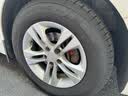邓禄普（DUNLOP）汽车轮胎 205/65R15 94H SP-R1 适配科鲁兹/雅阁/福克斯 实拍图