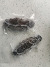 深海地带大连即食海参1斤17-20头辽参京东自营旗舰店源头年货春节送礼礼品 实拍图