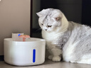 meoof觅凹蛋卷自动喂食器猫咪狗狗投食机定时定量摄像头可视+32G存储卡 实拍图