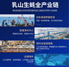 贝司令 鲜活乳山生态生蚝7XL 净重9斤 9-12只 生鲜源头直发 中秋聚餐  实拍图