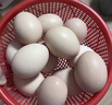 京喜加 谷物喂养初产新鲜鸡蛋40g正负5g生鲜超市买菜早餐土鸡蛋草鸡蛋 8枚 实拍图