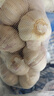 山东金乡蒜大蒜出口标准精选大蒜头蔬菜调料单果5cm 网兜装袋5头 150g 5-5.5cm特大 实拍图