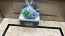 欧宝森绿色20L 车载家用越野保温箱冷藏箱便携户外小冰箱保鲜箱冰块储存 实拍图