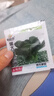 【京东物流】蔬菜种子四季播盆栽阳台庭院香菜生菜菠菜简单秋易种 黑叶苏州青种子1包约1000粒 实拍图