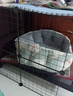 养只宠物（YOUNGER PET）宠物围栏狗狗室内狗笼子中小型犬泰迪柯基隔离门防护栏栅栏狗窝 狗围栏（加粗2*2） 实拍图
