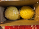 京鲜生 福建红心柚子 4粒 单果1.5-2.5斤 生鲜水果 实拍图