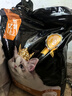 亿迪猫粮成猫幼猫全价主粮装英短蓝猫通用型天然粮 28%优质蛋白丨通用猫粮5kg 实拍图