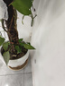 博世（BOSCH）机油滤芯滤清器0047现代新胜达雅绅特瑞纳瑞奕菲斯塔飞思雅尊逸行 实拍图