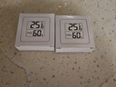 温度计湿度计室内干湿家用小米平替电子温湿度显示器迷你便携高精度壁挂式静音 【到手2件】迷你温湿度计/白色 实拍图