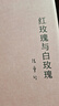 张爱玲代表作2册 倾城之恋 红玫瑰与白玫瑰 月亮系列臻美典藏 洞悉婚姻与人性的真相 实拍图