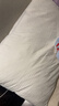 水星家纺枕头枕芯酒店枕头护颈枕头芯家用一对纯棉抗菌可水洗中枕48x74cm 实拍图