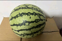 甜果源 海南网纹瓜 网纹哈甜玲珑蜜瓜密瓜应季时令新鲜水果送礼盒品 净重3斤【试吃装】 实拍图