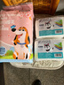 派乐特 宠物猫咪母狗狗生理裤尿不湿泰迪纸尿裤 宠物纸尿裤 L 10片装 实拍图