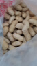 榛质信农家红皮花生散装新货新鲜晒干带壳生花生红衣四粒红皮花生米种子 25年【新花生】带壳生花生5斤 实拍图