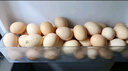 京鲜生富硒鲜鸡蛋30枚 3斤 源头直发 实拍图