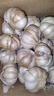 紫白皮蒜水果大蒜超市即食生鲜蔬菜大蒜 【实惠】5斤带箱 净重4.55斤单果3.5-5cm 实拍图