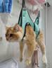 遇萤猫咪剪指甲固定包神器防抓控猫袋洗澡防咬控制悬挂式宠物美容吊床 湖蓝色M【建议20斤内】 送两个挂钩 实拍图