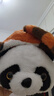 大熊猫变小熊猫玩偶双面翻转变身小浣熊公仔娃娃毛绒玩具生日礼物 翻转熊猫 50cm 实拍图