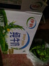伊利10月纯牛奶250ml*24盒整箱牛奶营养早餐全脂牛奶成人纯奶 7月纯牛奶250ml*24盒 实拍图