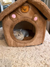 茨格曼狗狗窝冬季猫窝封闭式狗房子小型犬室内猫咪窝保暖狗屋猫屋宠物窝 M号-建议10斤内宠物 实拍图