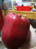 京鲜生 天水花牛苹果 净重4.5斤 单果170g+ 生鲜水果源头直发 实拍图