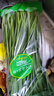 绿色韭菜250g 实拍图