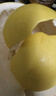 柚满园梅州红心柚子红柚子正宗梅县特产新鲜水果冰糖金碌柚红肉红心蜜柚 大果带箱9-10共2-4个 实拍图