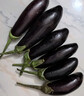 山东新鲜绿把紫皮长茄现摘现发新鲜嫩茄新鲜时令蔬菜生鲜 新鲜绿把紫茄 1斤 现摘现发 实拍图